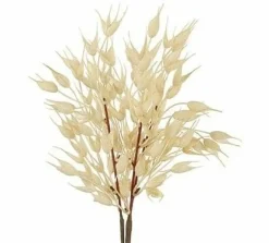 Countryfield Tarwe tak bundel crème New