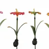 Countryfield Tuinsteker Hibiscus Solar LED - set van 4 tuinstekers Online