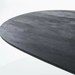 Eleonora Eettafel Aron ovaal 250x110 - zwart Outlet