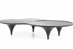 Eleonora Salontafel Fay