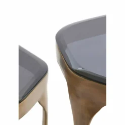 Light en Living Bijzettafel Set van 2 max 50x45,5x50 cm AVI glas smoke+antiek brons Discount