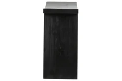 Light en Living Kruk 47x24x50 cm NIEKE zwart Online