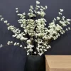 Light en Living Kunsttak 122x30x5 cm SPIRACEA creme Hot
