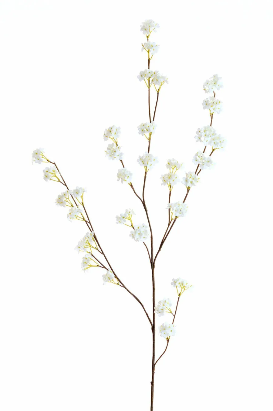 Light en Living Kunsttak 122x30x5 cm SPIRACEA creme Hot