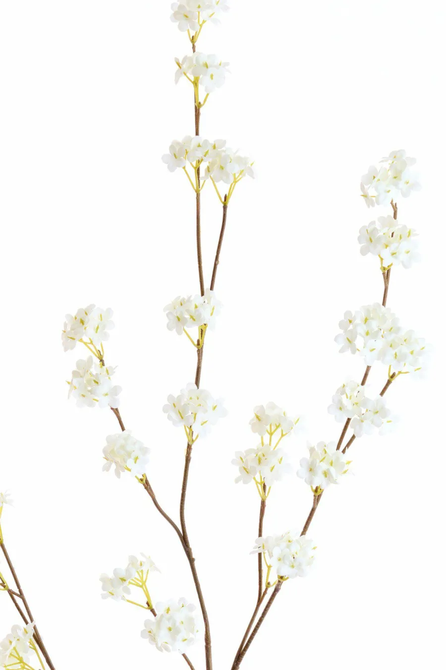 Light en Living Kunsttak 122x30x5 cm SPIRACEA creme Hot