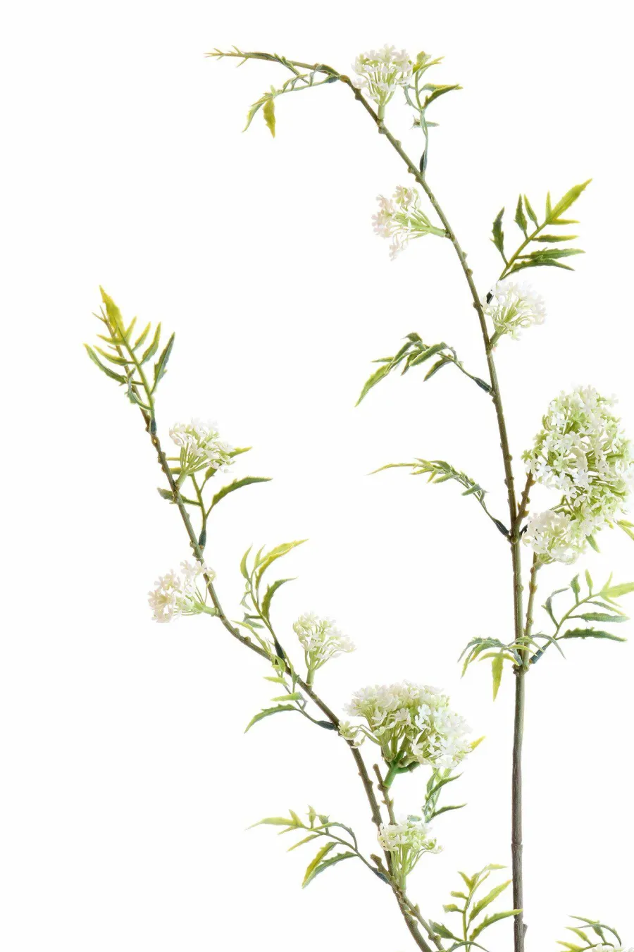 Light en Living Kunsttak 110X20X5 Cm GYPSOFILA groen-creme Sale