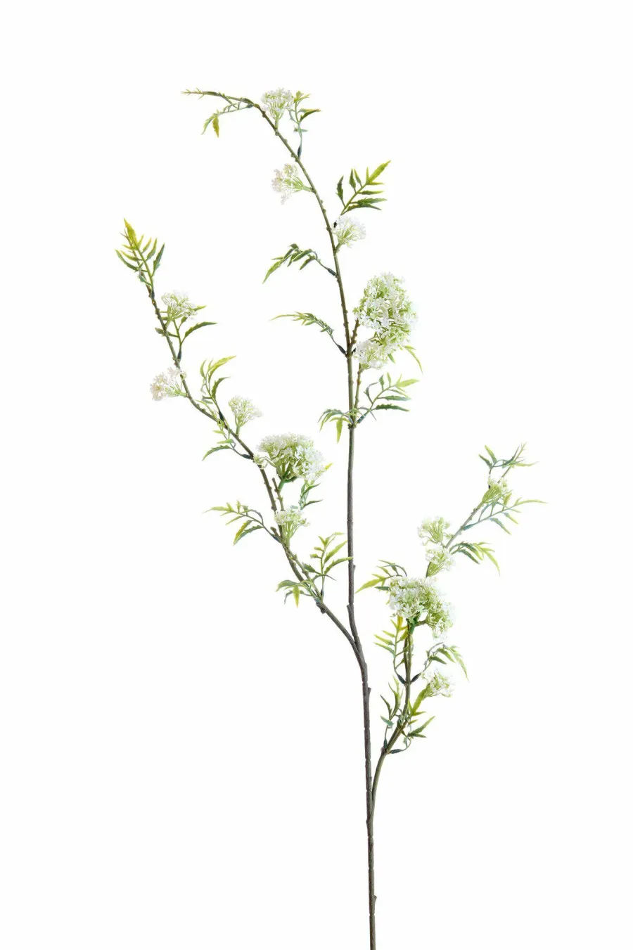 Light en Living Kunsttak 110X20X5 Cm GYPSOFILA groen-creme Sale