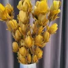 Light en Living Ornament 6 bloemen 90 cm TULIP okergeel Outlet