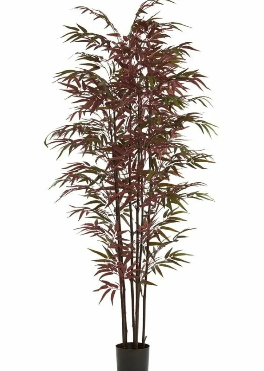 Light en Living Ornament in pot 70x60x180 cm BAMBOO naturel+groen/rood Outlet