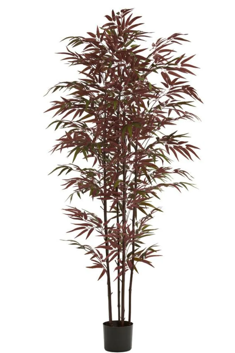 Light en Living Ornament in pot 70x60x180 cm BAMBOO naturel+groen/rood Outlet