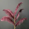 Light en Living Ornament 5 veren 129 cm FEATHER donker rood-paars Online