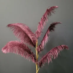 Light en Living Ornament 5 veren 129 cm FEATHER donker rood-paars Online