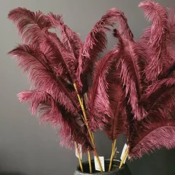 Light en Living Ornament 5 veren 129 cm FEATHER donker rood-paars Online