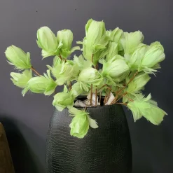 Light en Living Ornament 3 bloemen 70 cm TULIP licht groen Best