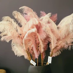 Light en Living Ornament 5 veren 129 cm FEATHER licht oud roze New