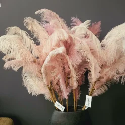 Light en Living Ornament 5 veren 129 cm FEATHER licht oud roze New