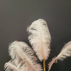 Light en Living Ornament 5 veren 129 cm FEATHER licht oud roze New