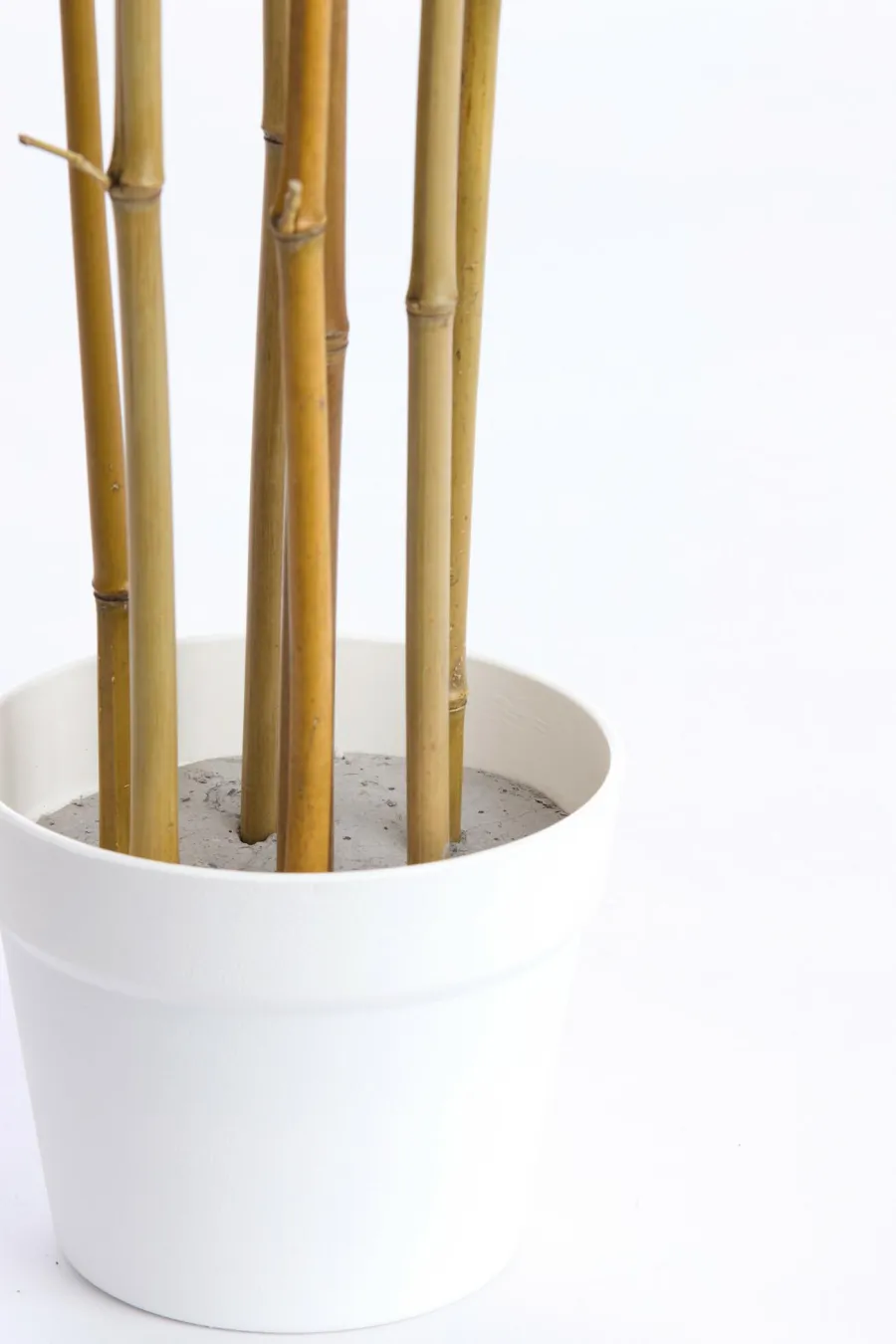 Light en Living Ornament in pot 70x60x120 cm BAMBOO naturel+crème Sale