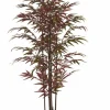 Light en Living Ornament in pot 70x60x150 cm BAMBOO naturel+groen/rood Best