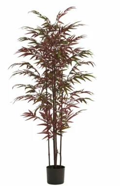 Light en Living Ornament in pot 70x60x150 cm BAMBOO naturel+groen/rood Best