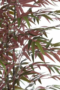 Light en Living Ornament in pot 70x60x150 cm BAMBOO naturel+groen/rood Best