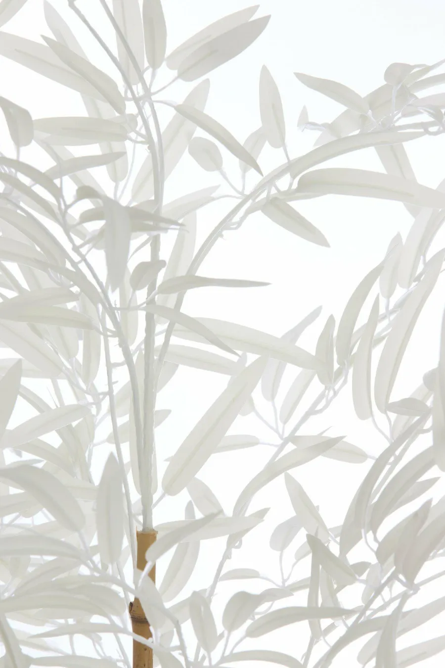Light en Living Ornament in pot 70x60x90 cm BAMBOO naturel+crème Hot