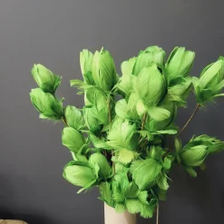 Light en Living Ornament 6 bloemen 90 cm TULIP groen Outlet