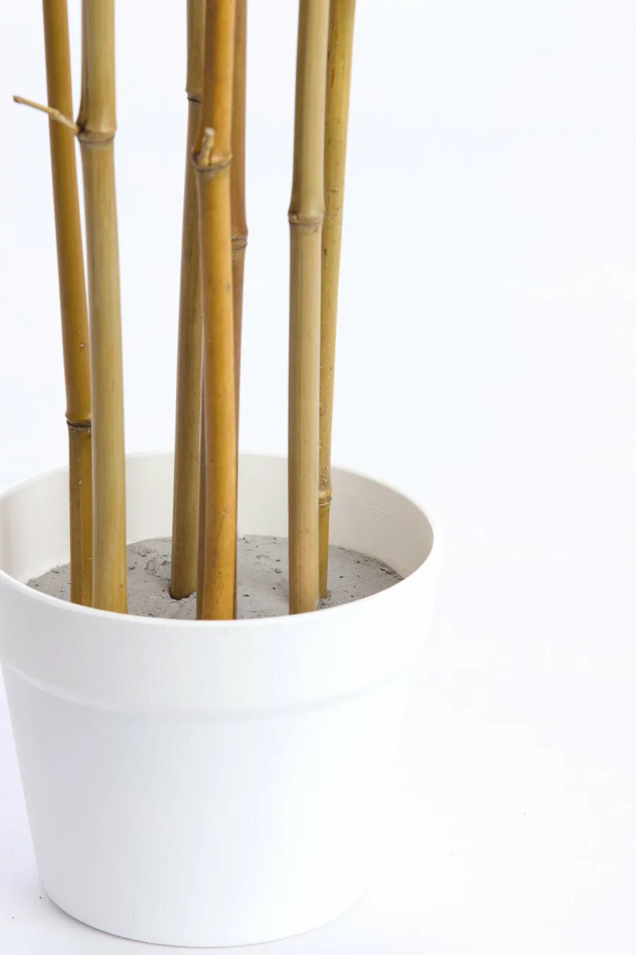 Light en Living Ornament in pot 70x60x150 cm BAMBOO naturel+crème Online