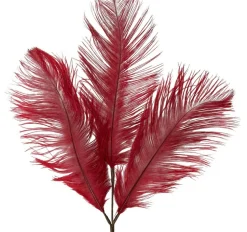 Light en Living Ornament 3 veren 30x59 cm FEATHER rood Hot