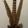 Light en Living Ornament Ø15x60 cm PHEASENT donker bruin Best