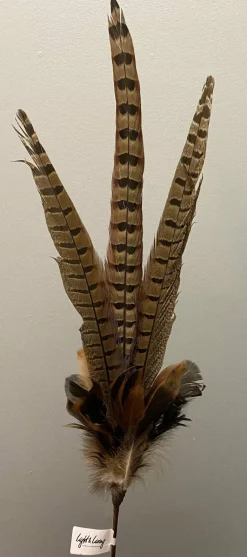Light en Living Ornament Ø15x60 cm PHEASENT donker bruin Best