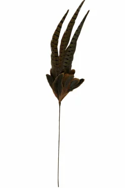 Light en Living Ornament Ø15x60 cm PHEASENT donker bruin Best