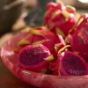Light en Living Schaal Ø34x6 cm BELAWAN roze Clearance