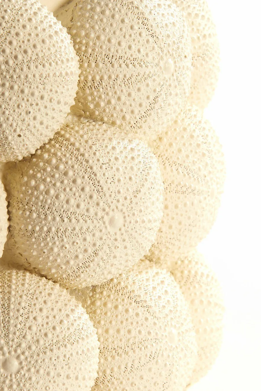 Light en Living Vaas deco Ø19X32,5 cm ZEEËGEL creme Sale