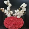 Light en Living Vaas Deco Ø37X21 Cm Coral Rood
