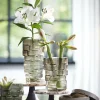 Light en Living Vaas Ø17x22 cm DOURO smoke glas Best