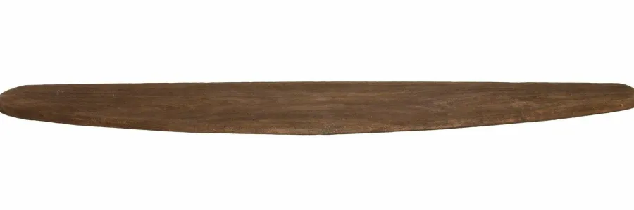 Light en Living Wandplank 80x20x3 cm GINOSU mat donker bruin New