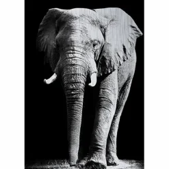 MondiArt Alu Brush | Olifant 120 x 180 Sale