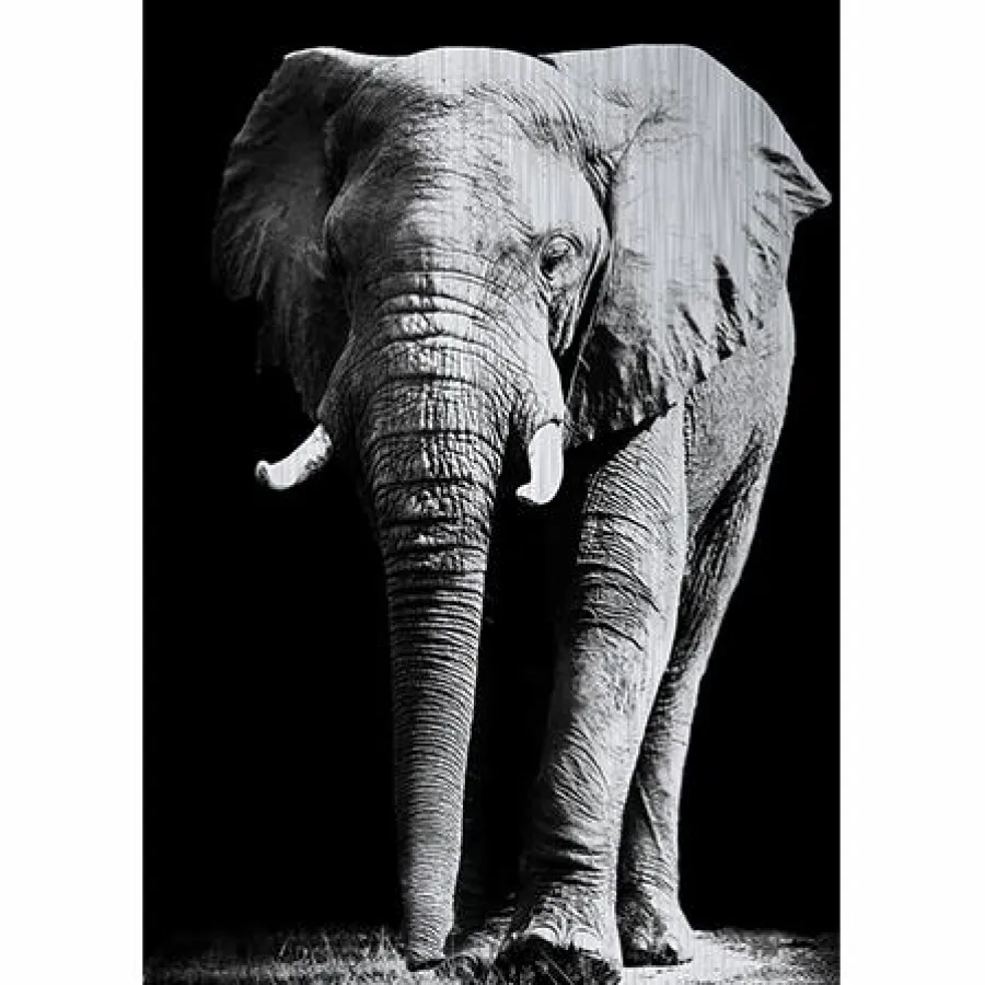 MondiArt Alu Brush | Olifant 120 x 180 Sale