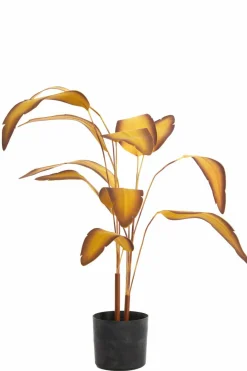 Parlane Ornament in pot STRELITZIA goud-bruin+zwart - Ø110 cm