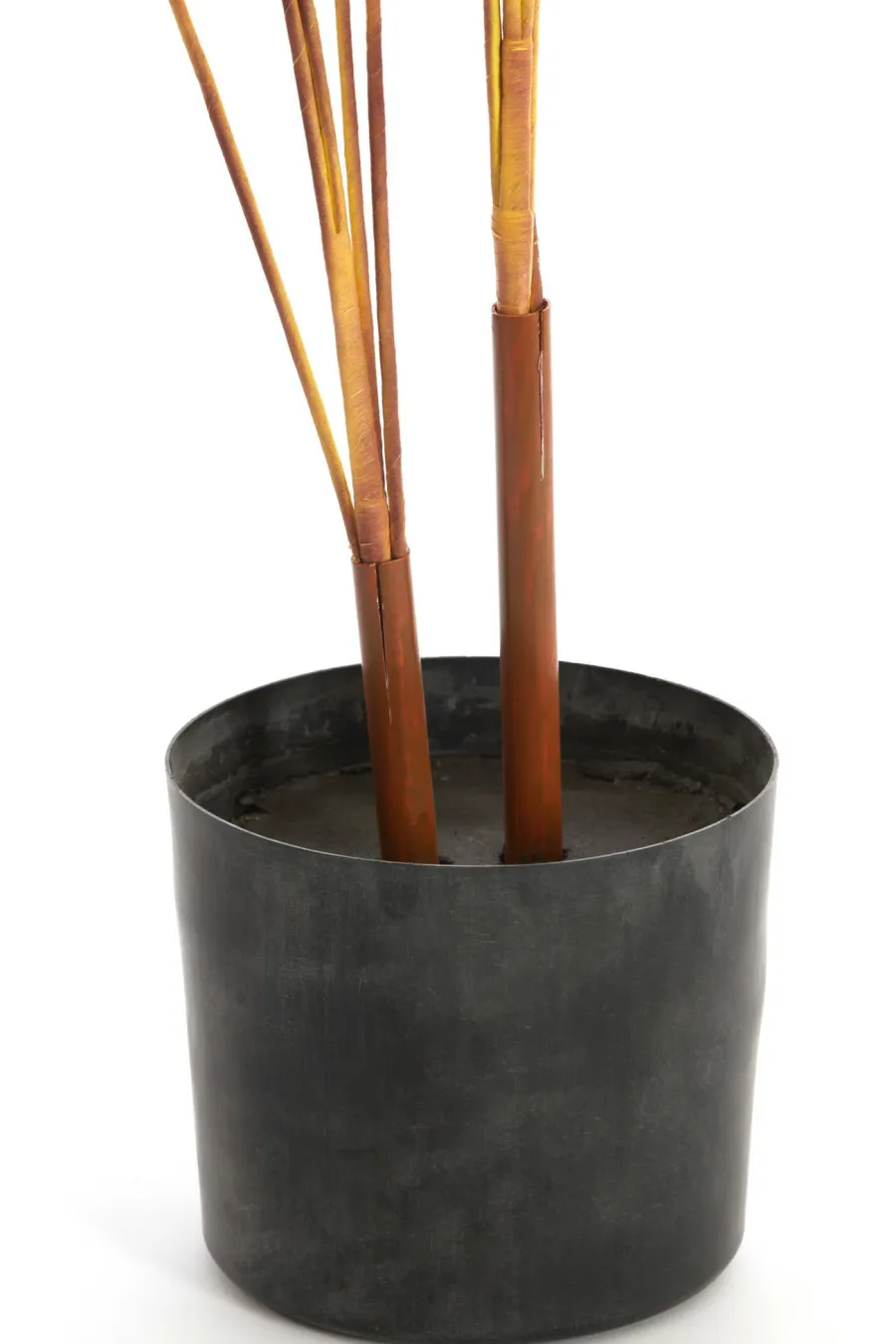 Parlane Ornament in pot STRELITZIA goud-bruin+zwart - Ø110 cm