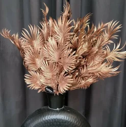 Parlane Ornament 10x2x73 cm PALM metallic blush Online