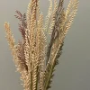Parlane Ornament 10x2x53 cm WILD GRASS ivoor-roodbruin-groen New