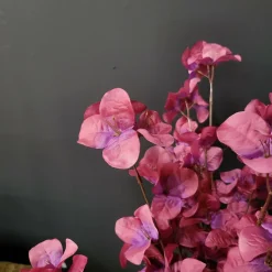 Present Time Kunsttak Flower Stem paars + roze Sale