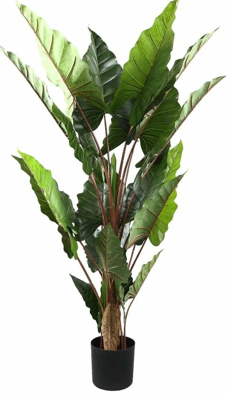 PTMD Kunstplant groen blad in zwarte pot - 170 cm hoog New