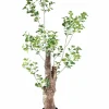 PTMD Kunstplant Groen Triangularis in pot 180cm Online