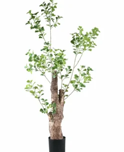 PTMD Kunstplant Groen Triangularis in pot 180cm Online