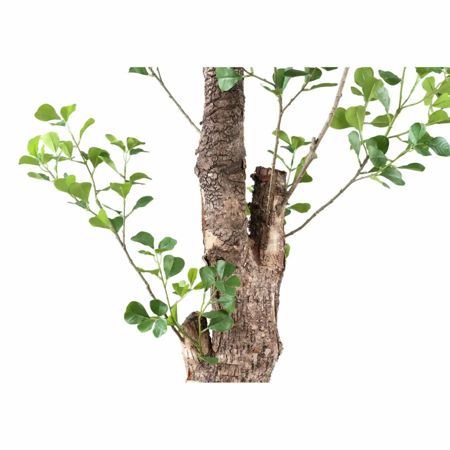 PTMD Kunstplant Groen Triangularis in pot 180cm Online