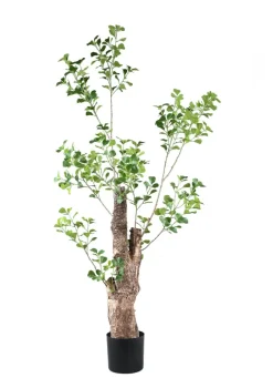 PTMD Kunstplant Groen Triangularis in pot 180cm Online