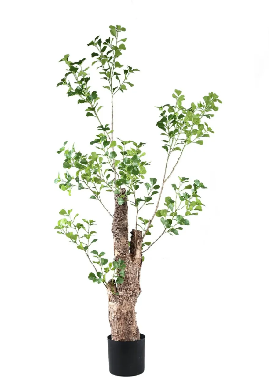 PTMD Kunstplant Groen Triangularis in pot 180cm Online